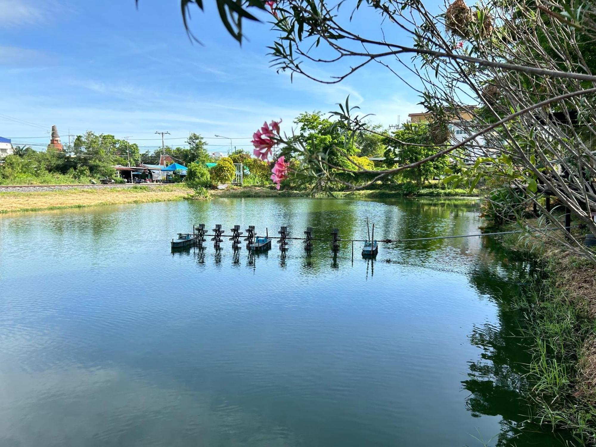 Dd Boutique Resort Ban Wat Pa Zewnętrze zdjęcie